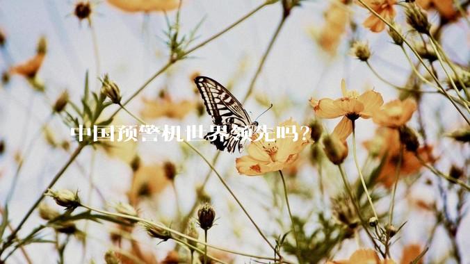 中国预警机世界领先吗？