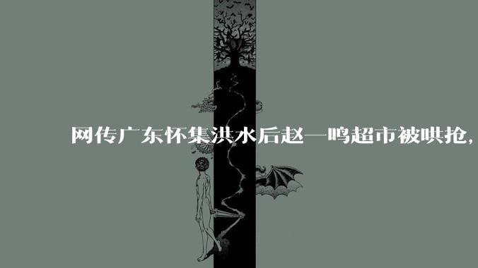 网传广东怀集洪水后赵一鸣超市被哄抢，县***回应相关单位正在核实，若属实哄抢者该承担哪些法律责任？