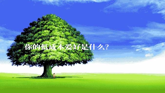 你的低成本爱好是什么？