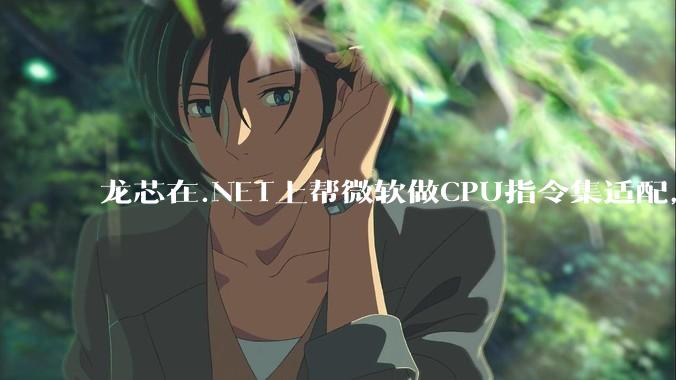 龙芯在.NET上帮微软做CPU指令集适配，为什么到国内.NET开发者这里成了维护龙芯.NET版本?